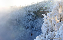 下雪了～城市突然變得不一樣了