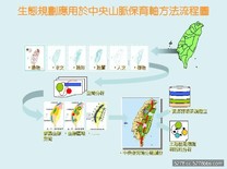 中央山脈保育廊道 高山動植物天堂