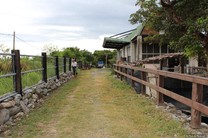 花蓮遊   慕谷慕魚 峽谷風光