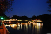 台灣最美的風景～黑夜蓋不住絢爛