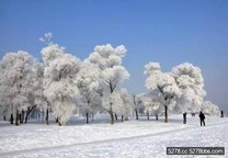 大陸12月最美的旅行地  (上)