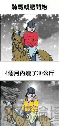 騎馬減肥!!!