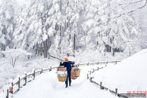 自然奇觀／震撼雪景！　2013末暴風雪後的黃山日出