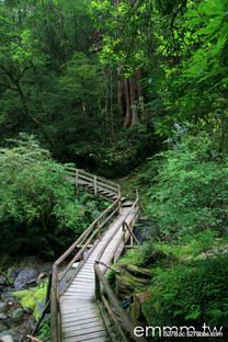 戀上拉拉山  桃園市復興區華陵村上巴陵