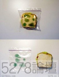 自從用左呢個袋, 我嘅三文治安全晒