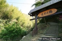 秋意涼健行去．阿里山步道遊蹤