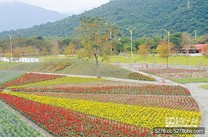 國福花海 今開fun