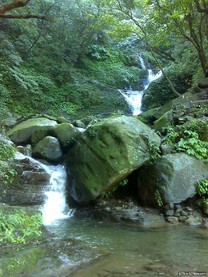 近郊賞瀑 汐止、七堵好去處