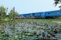 「中部」苗栗白沙屯 鐵道輕旅行