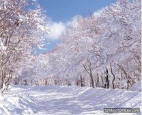 遊韓國／一趟旅程　雙重享受！釜山濟州逍遙遊