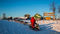 狗狗拉雪橇 可愛模樣和美景好搭(二)