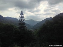 秋日大板根輕旅 享受熱帶雨林赤道風情