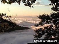 觀霧雪霸逍遙之旅 感受雪霸高山遊的感動