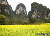 桂林、林芝…　探尋大陸最純淨的初春味道