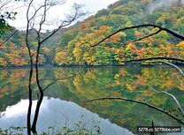 漫遊白神山地十二湖