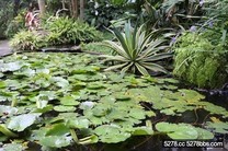 台中-新社-千樺花園餐廳-安全食材