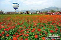 [景點推薦] 「高屏」美濃花海開園 陳菊邀走春