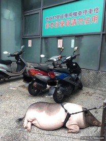 車位停錯搂