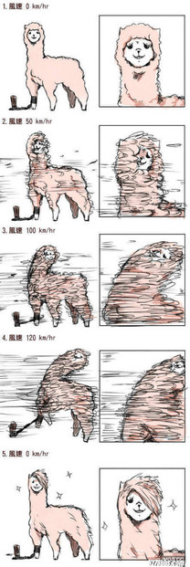 永遠的神獸 ....草尼馬