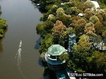 到亞馬遜雨林探險去