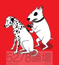 刺青犬