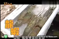 美食大三通 -印尼魚港