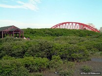 竹縣海岸自行車生態之旅