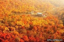 趁秋天還在！　各省秋景「花魁」名單拿好不送(上)